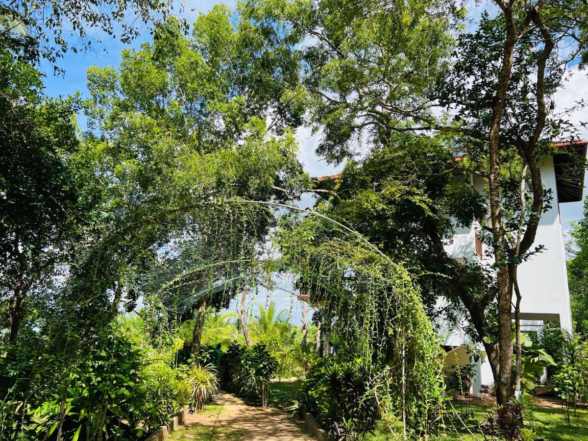 Ashansa Lagoon Resort แทนกาลเล ภายนอก รูปภาพ